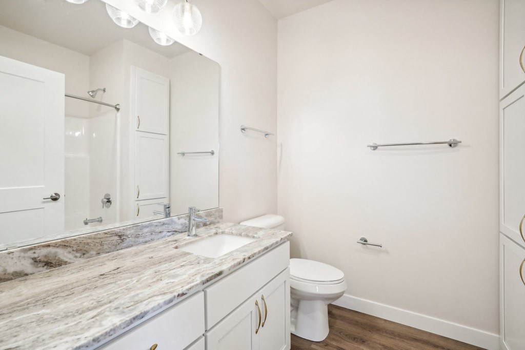 a bathroom with a sink and a toilet and a mirror