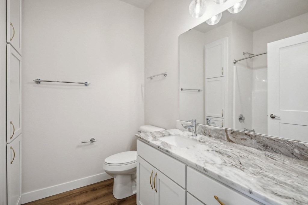a bathroom with a sink and a toilet and a mirror