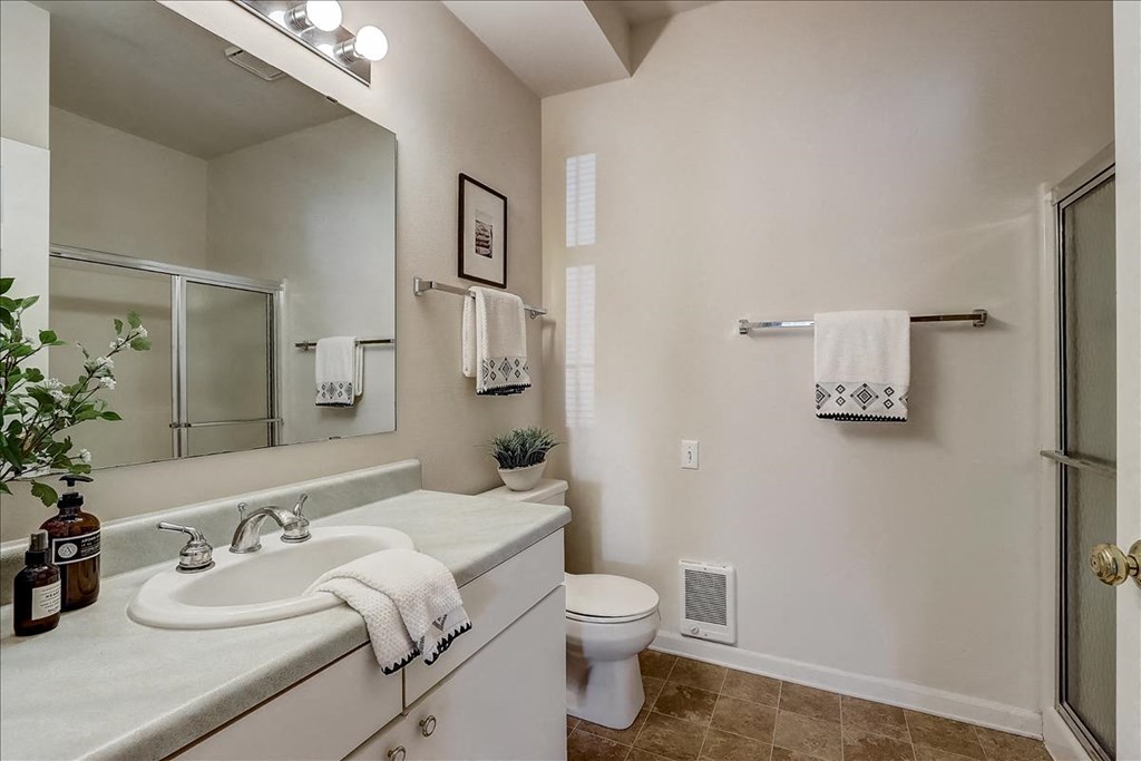 a bathroom with a sink and a toilet and a mirror