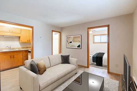 A living room with a couch, a coffee table, and a television.