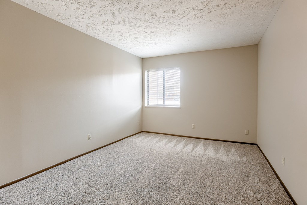 A room with a carpeted floor and a window letting in light. Omaha, NE Stony Brook Apartments