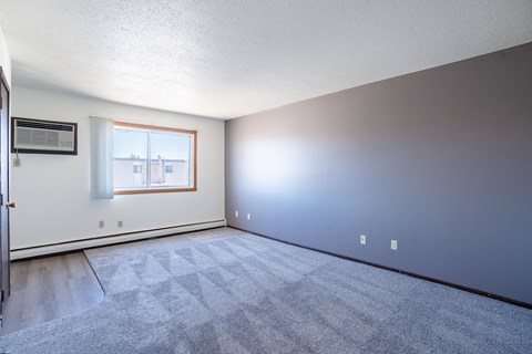 1207 1St St E 1-4 Beds Apartment for Rent