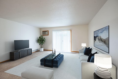 A living room with a blue couch and a television.