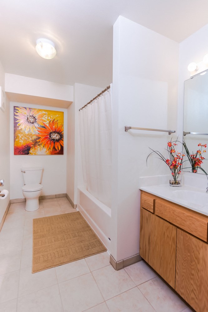 Desoto Townhomes | Bathroom