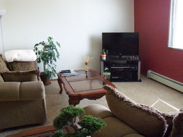 a living room with a couch and a coffee table and a television