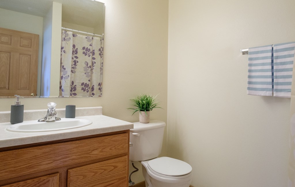 A bathroom with a toilet and a sink