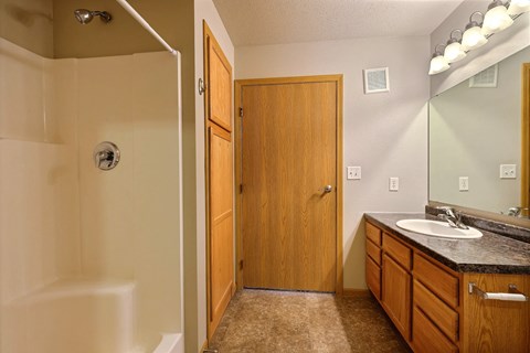a bathroom with a shower and a sink and a mirror. Fargo, ND East Bridge Apartments