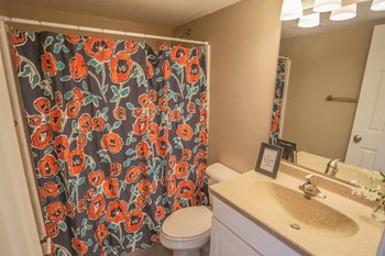 Evergreen Terrace Apartments | Bathroom Evergreen Terrace Apartments | Bathroom - Photo Gallery 5