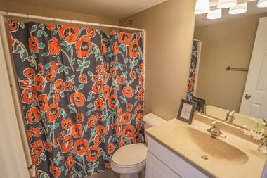 11029 R Plz 1-2 Beds Apartment for Rent - Photo Gallery 5
