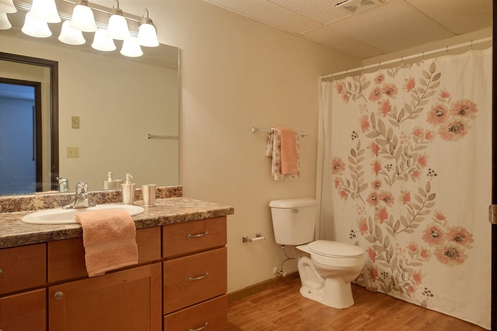 a bathroom with a shower curtain and a sink and a toilet. at France, Fargo