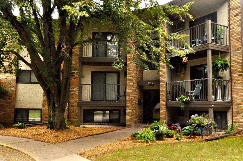 White Bear Lake, MN White Bear Terrace Apartments | Exterior White Bear Lake, MN White Bear Terrace Apartments. an apartment building with a large tree in front of it
