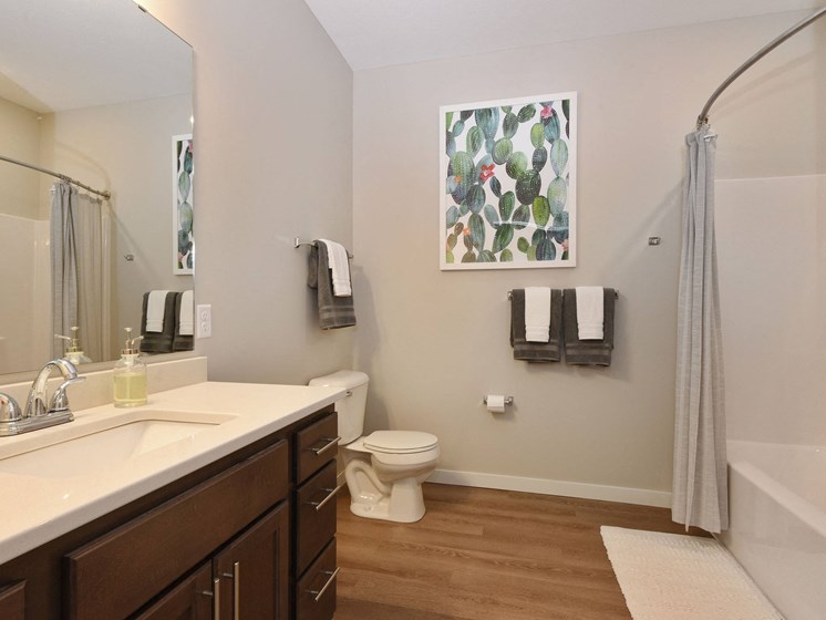 Glen Pond Addition | Bathroom