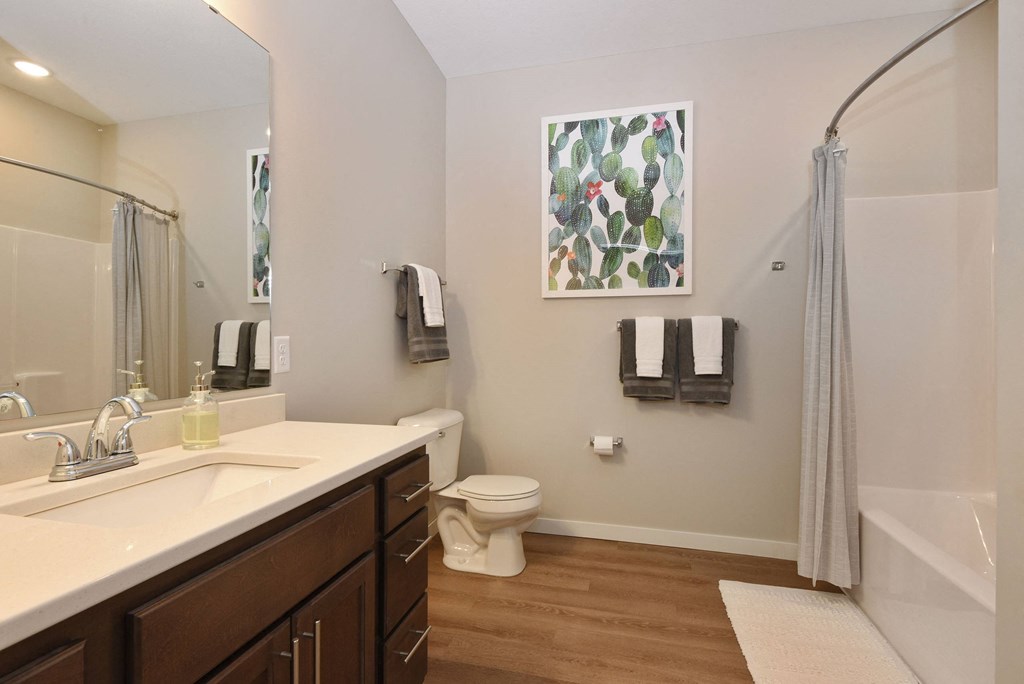 Glen Pond Addition | Bathroom