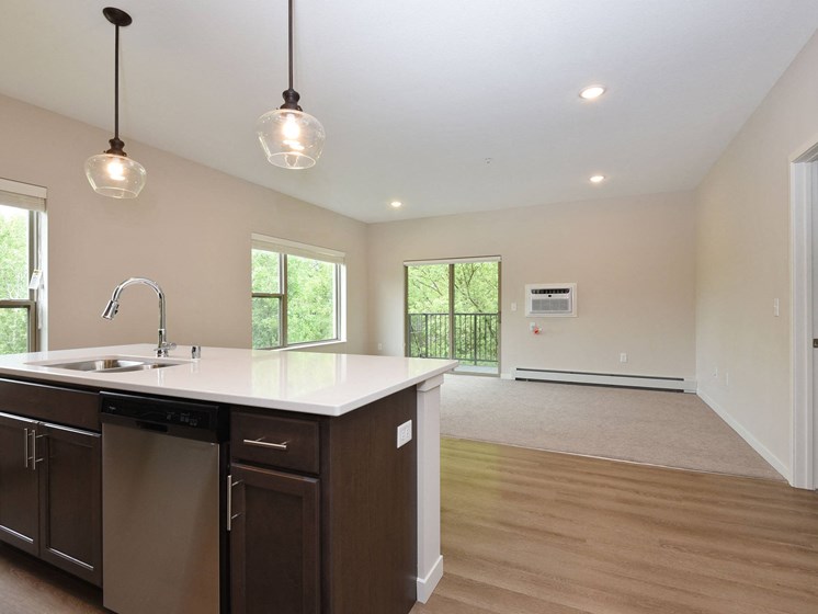 Glen Pond Addition | Kitchen