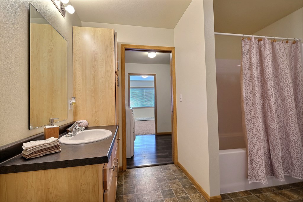 a bathroom with a sink and a shower and a bath tub. Moorhead, MN Sandy Creek Apartments