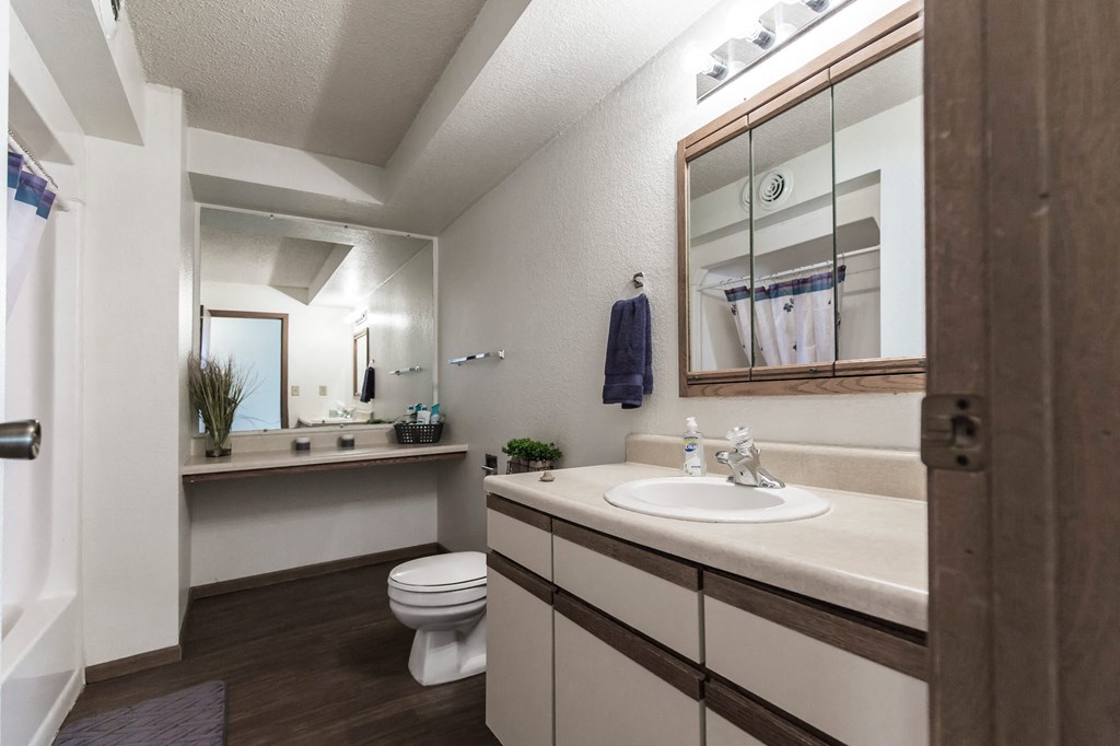 Grand Forks, ND Sunview apartments. a bathroom with a toilet sink and mirror