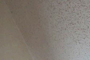 Sunwood Apartments | Efficiency | Living Space Sunwood Apartments | Efficiency | Living Space