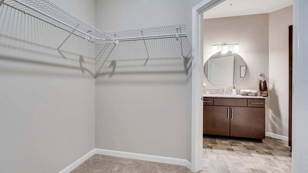 a closet in a bathroom with a sink and a mirror. Circle Pines, MN Lexington Lofts