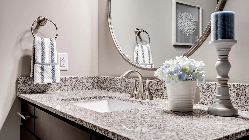 a bathroom sink with a mirror and a vase with flowers. Circle Pines, MN Lexington Lofts