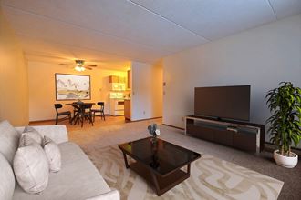 Fargo, ND France Apartments. a living room filled with furniture and a flat screen tv
