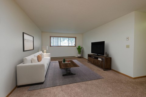 a living room with a couch and a coffee table and a tv