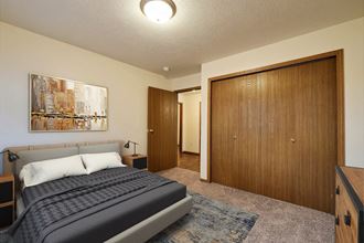 3301 32Nd St S Studio-3 Beds Apartment for Rent - Photo Gallery 4