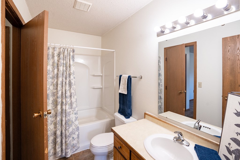 a bathroom with a sink and a toilet and a shower