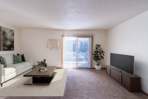 a living room with a couch and a coffee table and a television