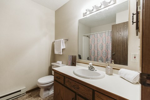Grand Forks Harrison Apartments. A bathroom with a sink and a toilet and a mirror