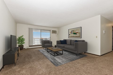 Sage Park Apartments in New Brighton, MN | living room area
