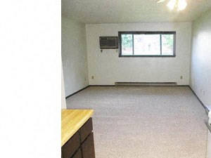Patricia Ann Apartments | Living Room