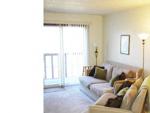 Patricia Ann Apartments | Living Room