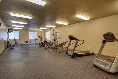 A gym with cardio equipment and weights on the floor. West Fargo, ND West Lake Apartments.