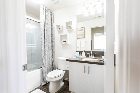 a bathroom with a shower toilet and sink