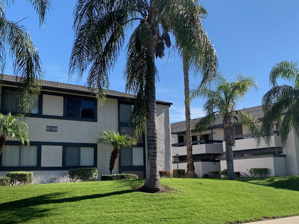 a building with palm trees in front of it