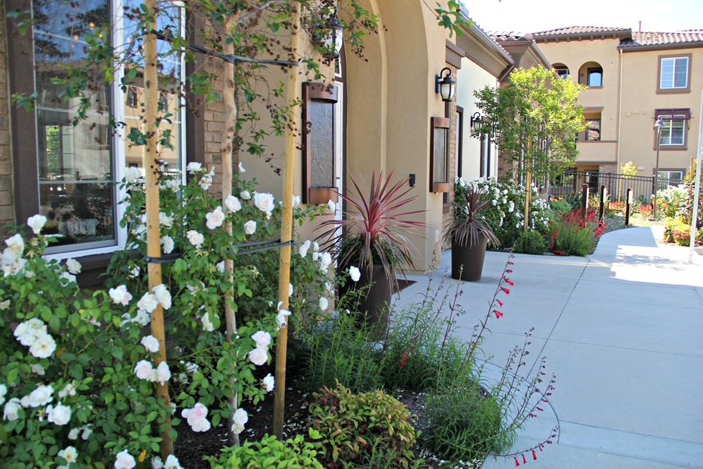 the front yard of a building with plants and a sidewalk