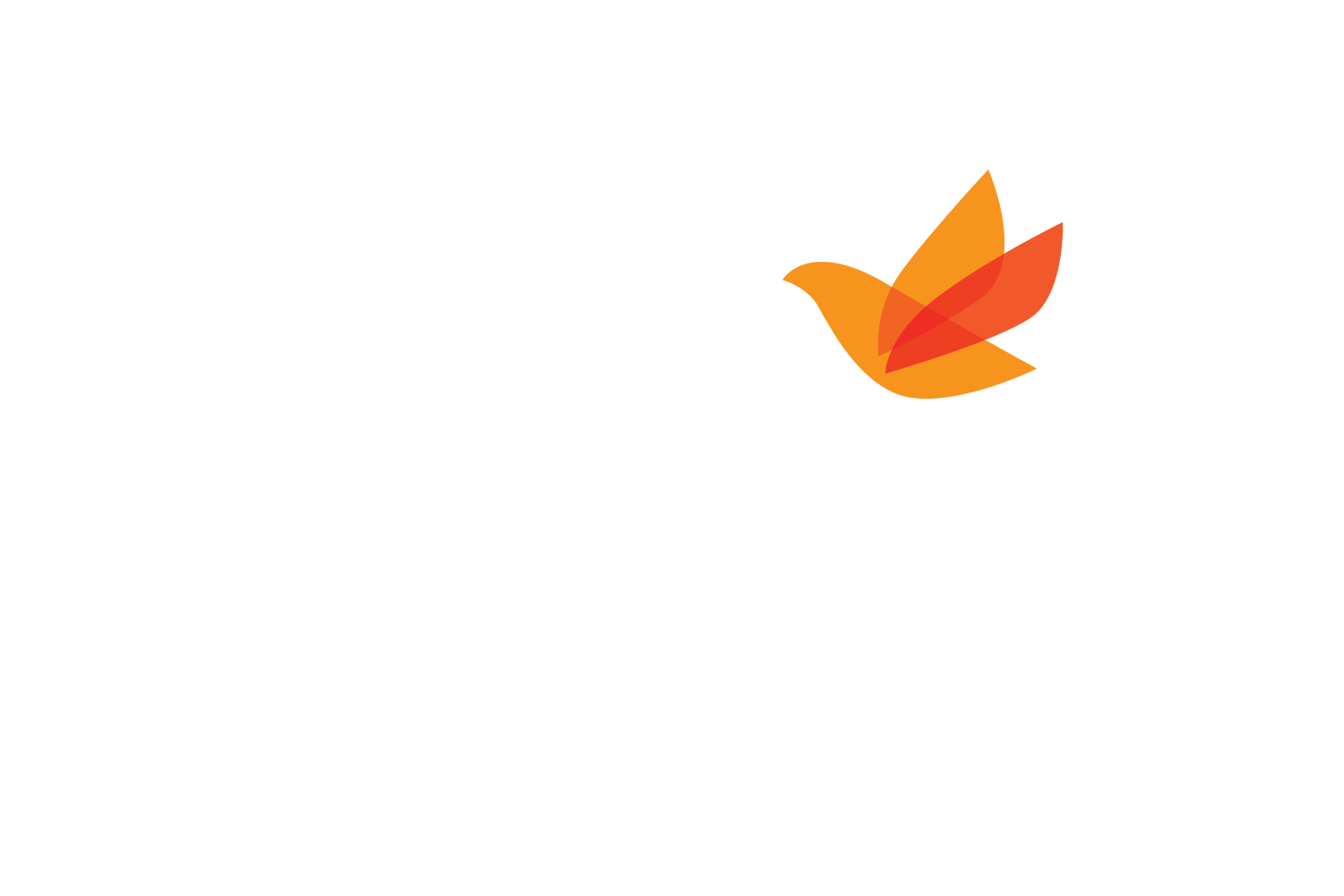 A logo for Paloma Apartment Homes with a leaf graphic.