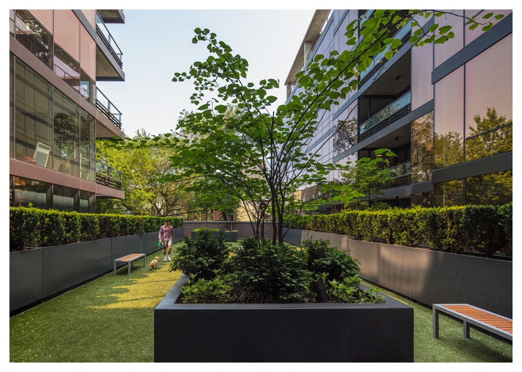 a courtyard with grass and a tree in the middle