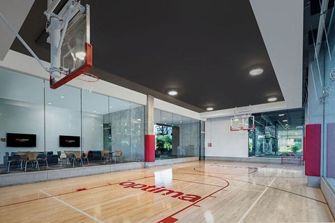 Basketball Court