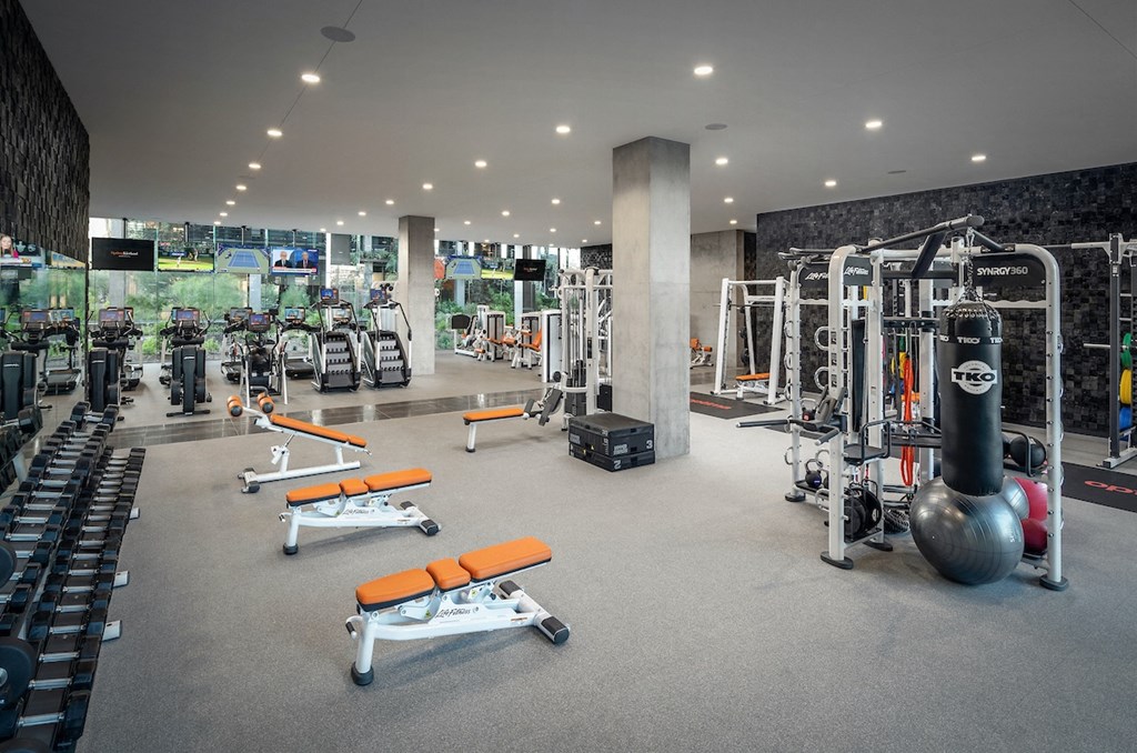 Gym Equipment at Optima Kierland Apartments