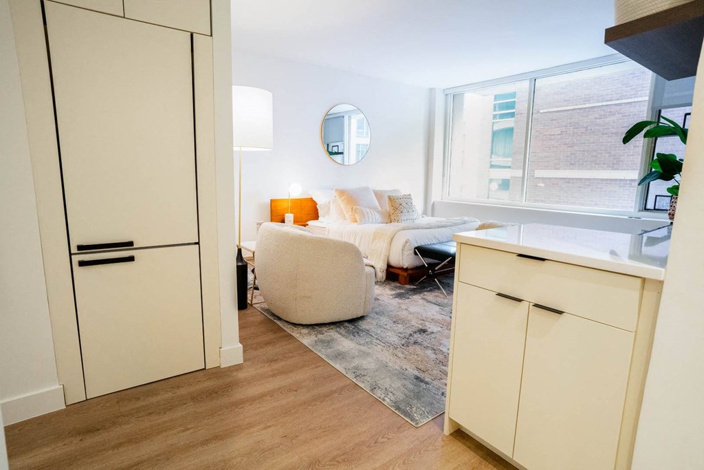 Living Room area at 21 E Chestnut, Chicago