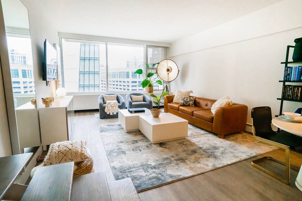 Living Room with brown couch at 21 E Chestnut, Chicago, Illinois, 60611