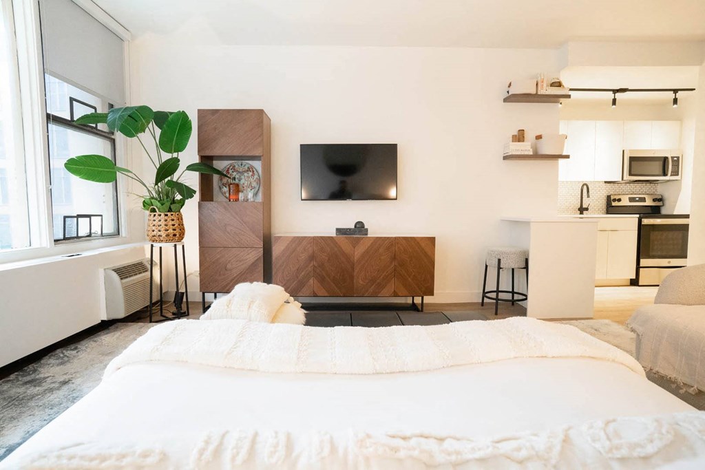 living room with TV at 21 E Chestnut, Chicago, Illinois