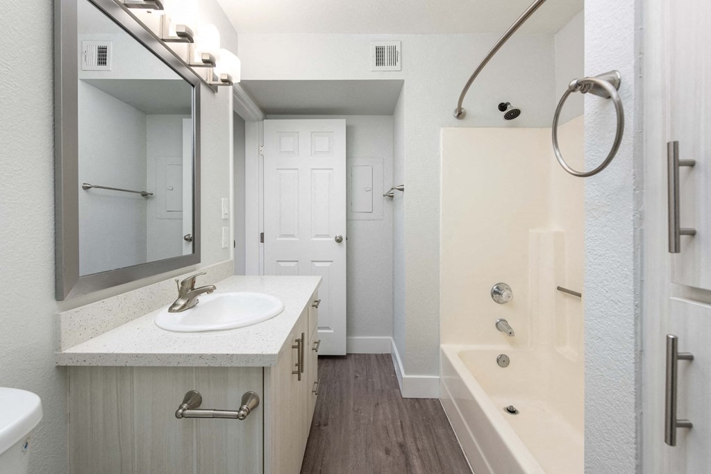 a bathroom with a sink and a shower and a mirror
