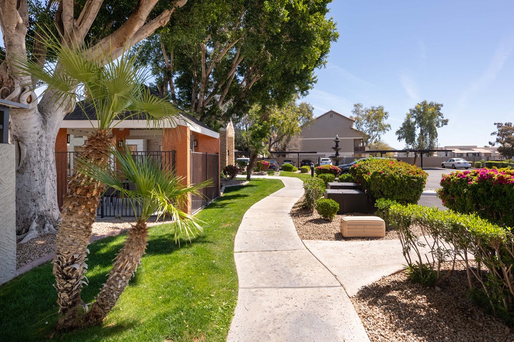a sidewalk in front of a house with a palm tree
