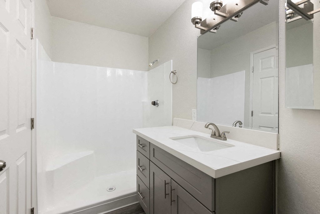a bathroom with a sink and a shower and a mirror