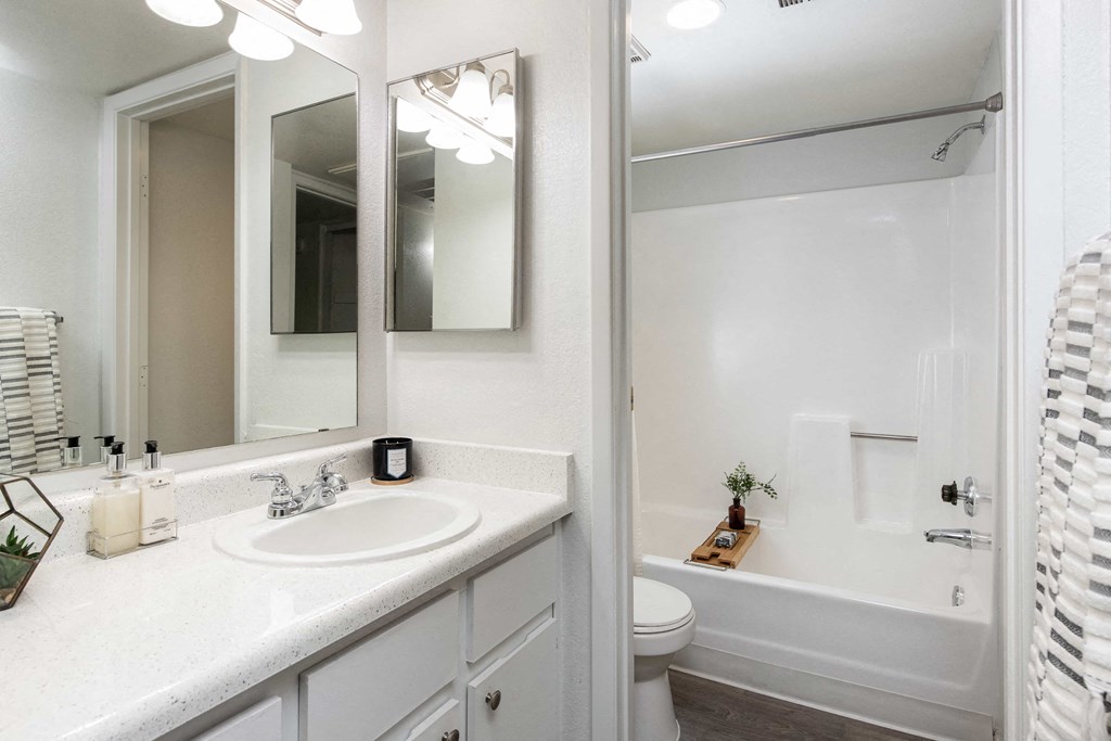 a bathroom with a sink and a mirror and a tub