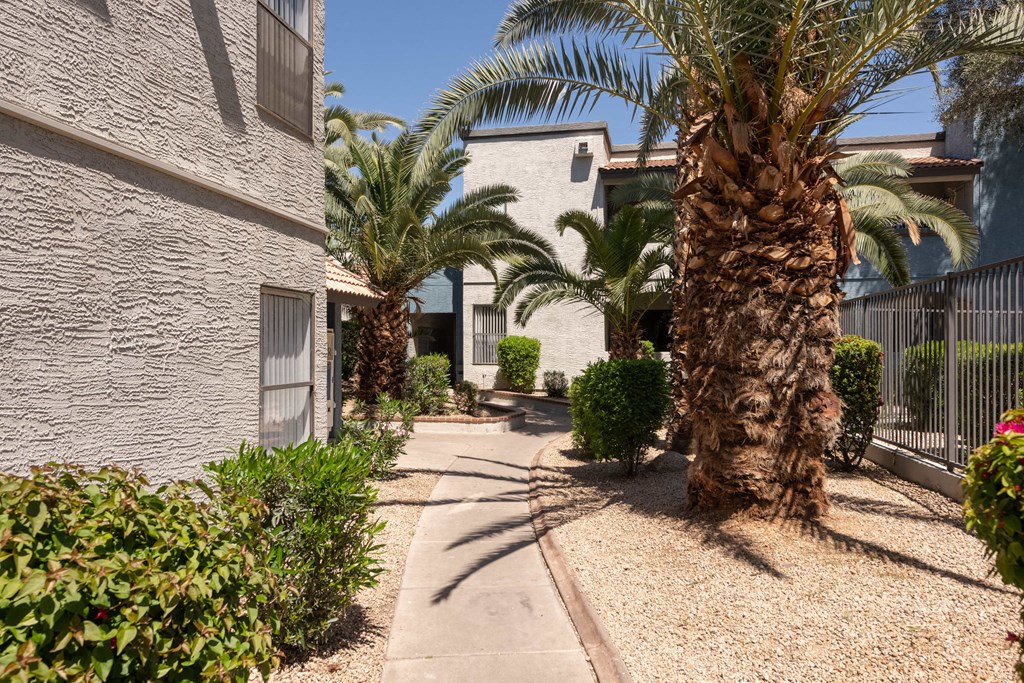 a walkway with palm trees in front of a building