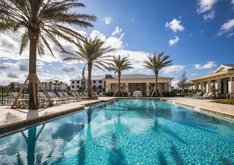 A large swimming pool surrounded by palm trees and lounge chairs.