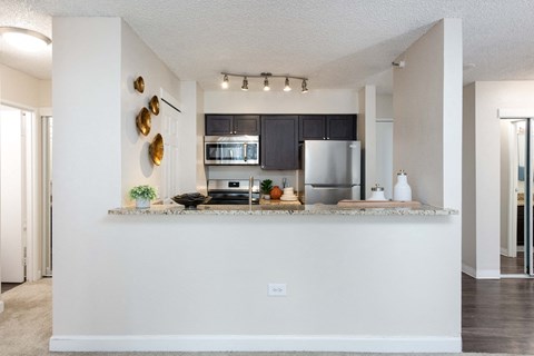 300 E seventeenth apartment kitchen with stainless steel appliances